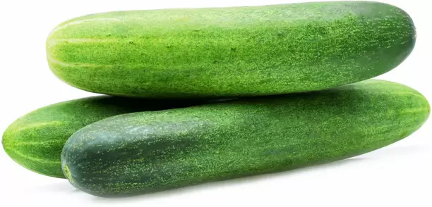 Cucumber (வெள்ளரிக்காய் )