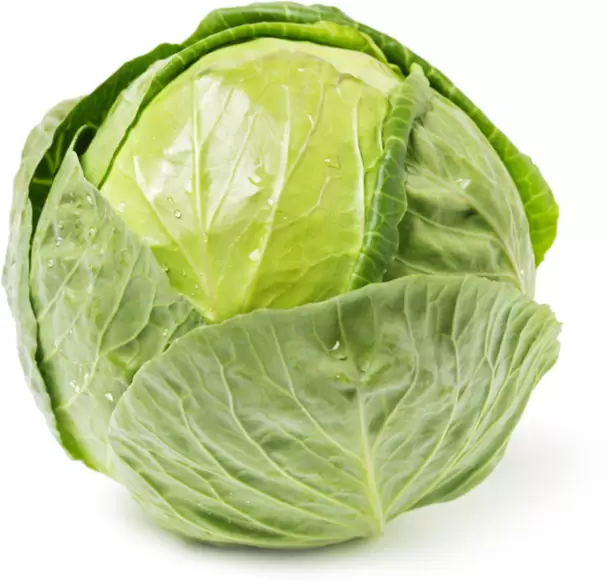 Cabbage (முட்டைக்கோஸ்)