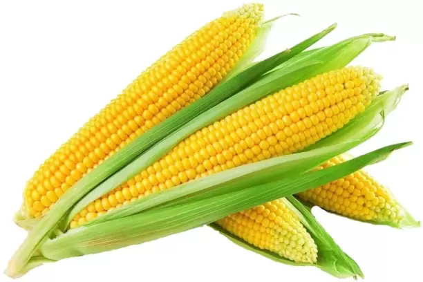 Sweet Corn (சுவீட் கான் )